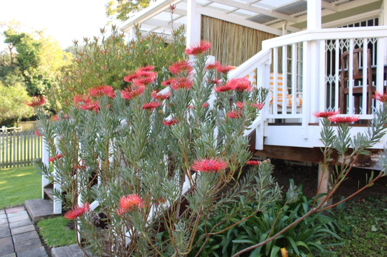 14 Mount Joy Hotel Knysna Exterior photo
